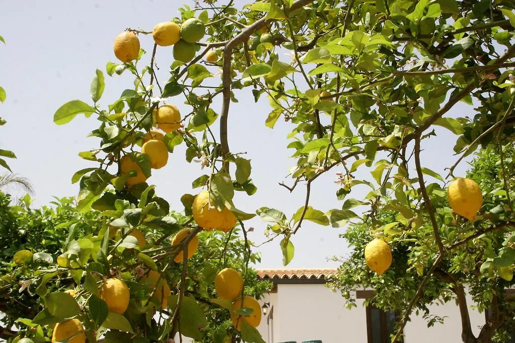Terra Dei Limoni Hotel Lido di Noto